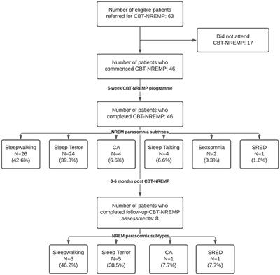 A Novel Group Cognitive Behavioral Therapy Approach to Adult Non-rapid Eye Movement Parasomnias